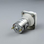 微型榴莲视频下载污有什么特点