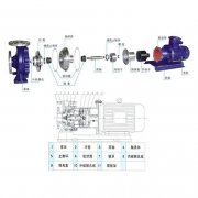 磁力榴莲视频黄色APP结构有哪些特性