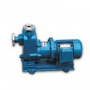 自吸榴莲视频下载污的发展历程